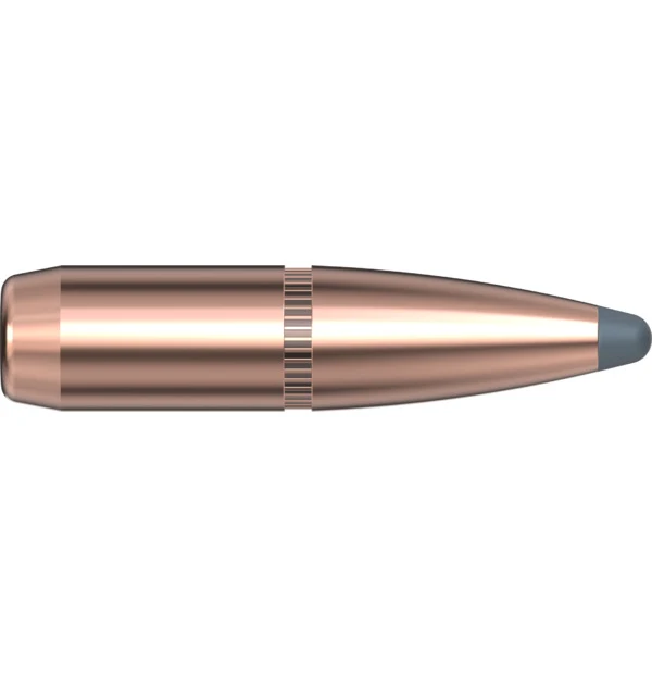 6mm .243 100 GR InterLock Btsp