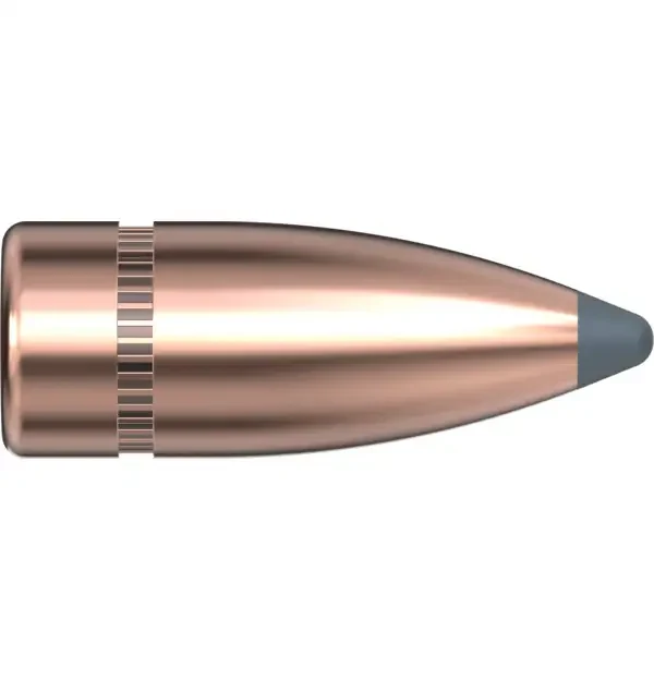 7.62 CAL .310 123 GR SP