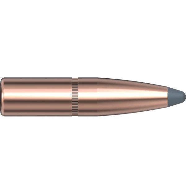 7mm .284 175 GR InterLock SP