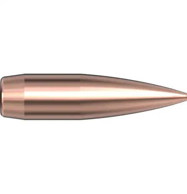30 CAL .308 168 GR BTHP Match