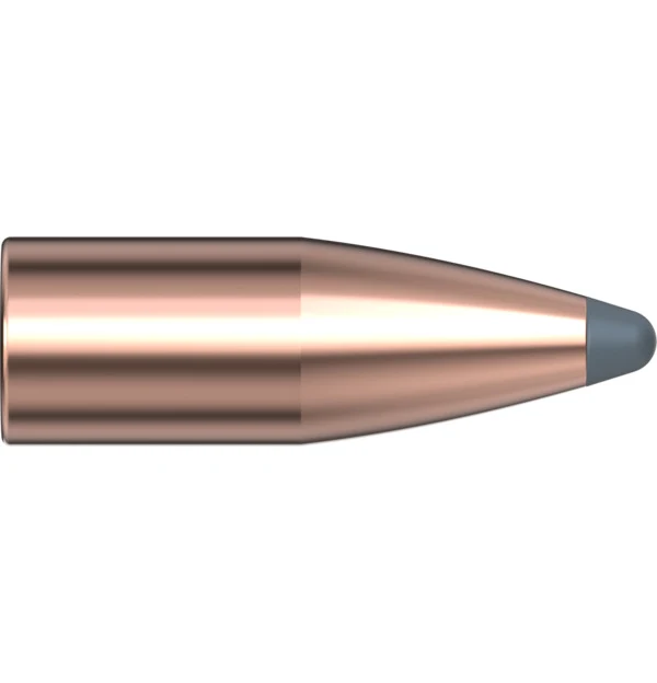 22 CAL .224 55 GR SP