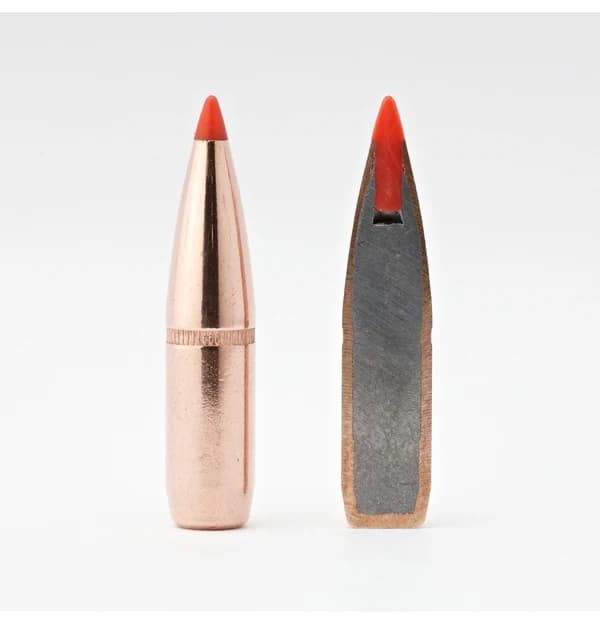 7mm .284 154 GR SST