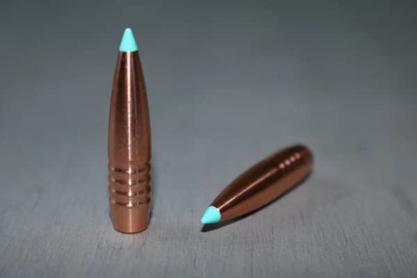 .308 Cal-163gr Hammer Hht