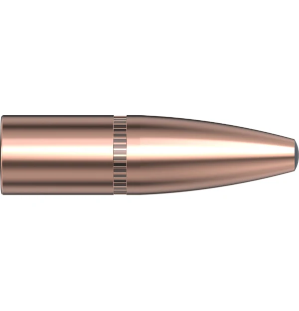 338 CAL .338 225 GR InterLock Sp-rp