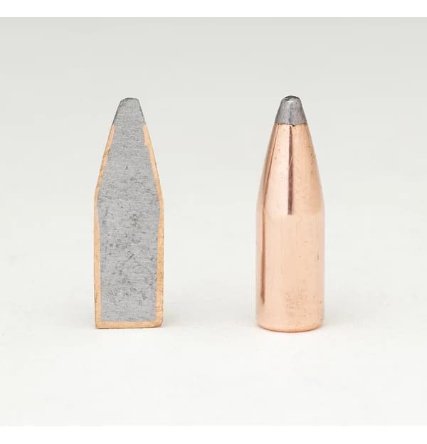 22 CAL .224 60 GR SP