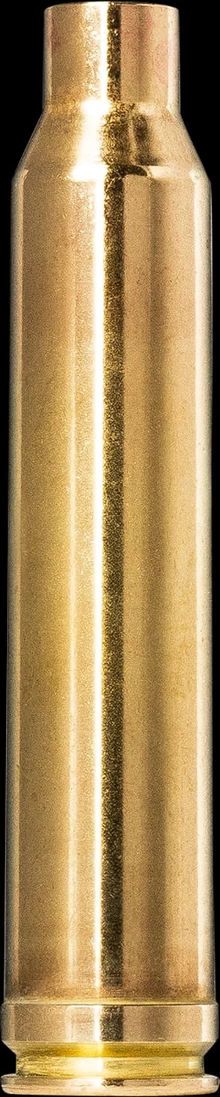 Norma Brass 300 Win. Mag.