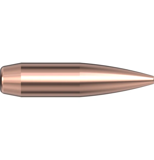 22 CAL .224 75 GR BTHP Match