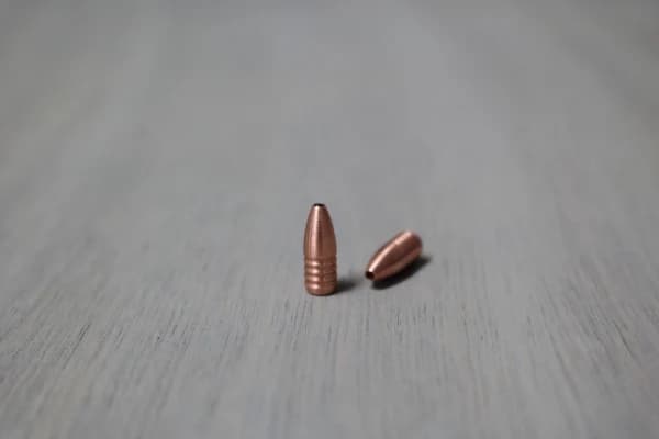 .204 Cal-31gr Hammer Hunter