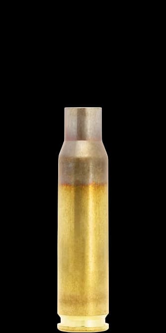 .308 Winchester Case