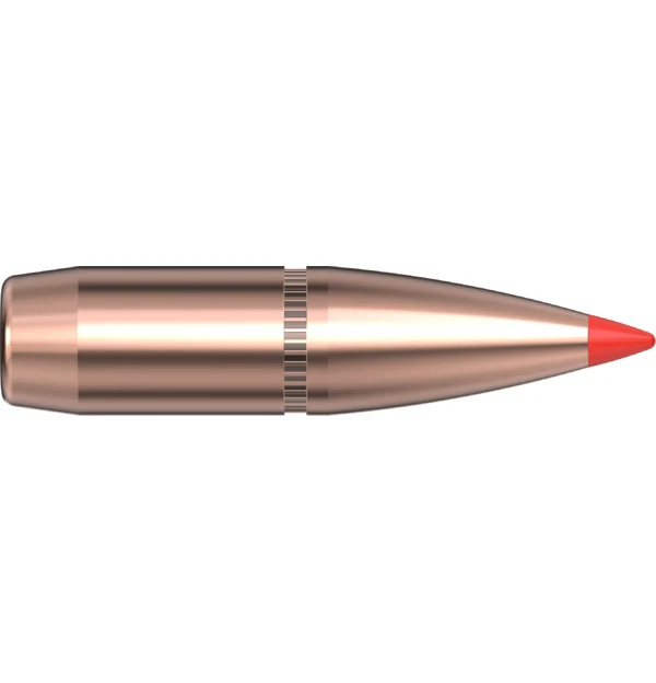 30 CAL .308 180 GR SST
