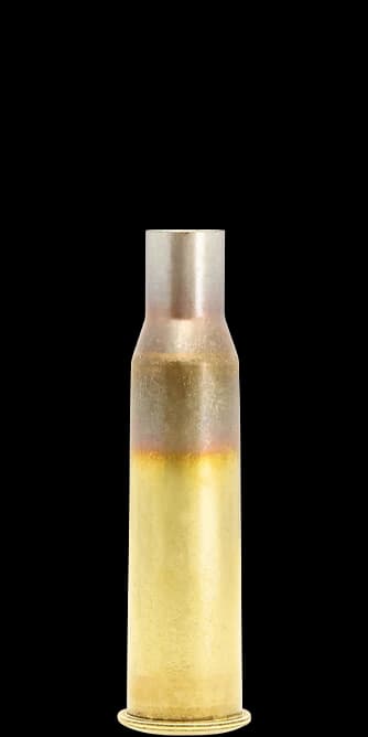 Lapua Brass .762x53R Cartridge Case